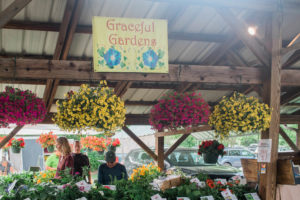 Best Things To Do In Ithaca New York [Weekend Guide]