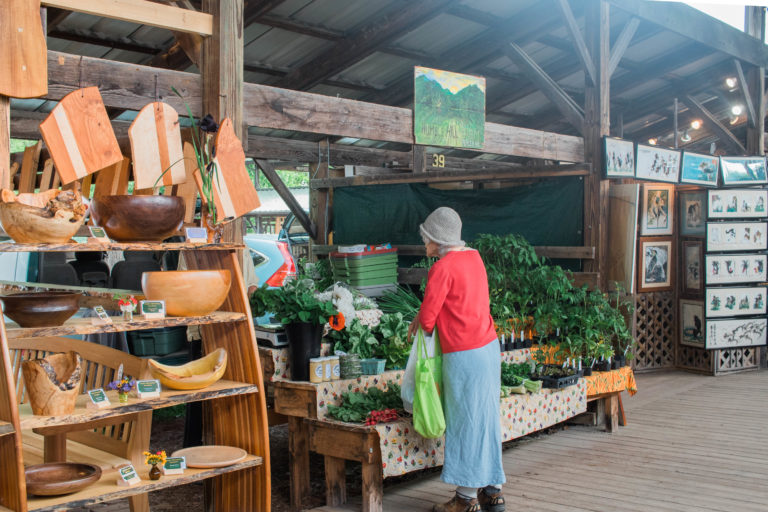 Best Things To Do In Ithaca New York [Weekend Guide]