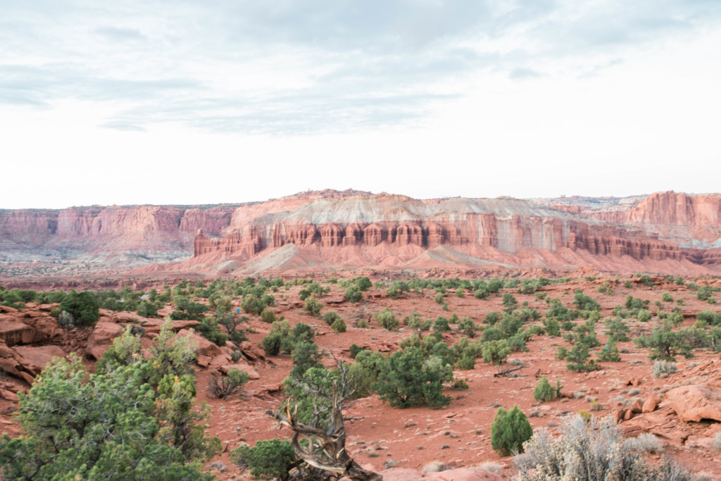 Weekend Guide to Capitol Reef 