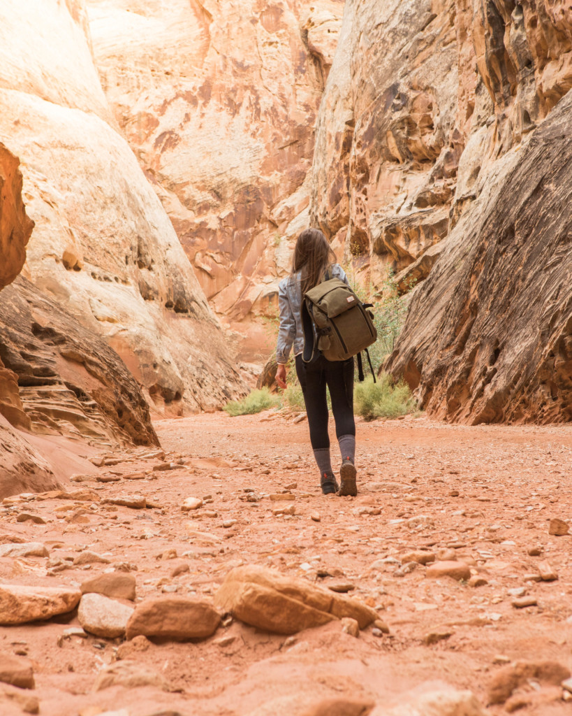 Weekend Guide to Capitol Reef Capitol Reef National Park- Grand Wash Trail