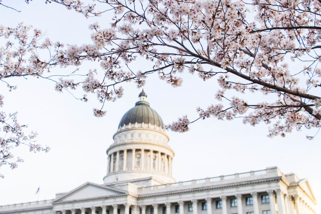 Best Locations to See Cherry Blossoms in Utah this Spring parttimetourists.com #utah #cherryblossoms