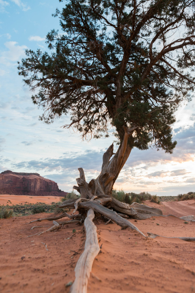 Ultimate 4 Day Guide to Utah's Canyon Country. Things you'll see include Monument Valley, Goosenecks State Park, Hovenweep National Monument, and many more! #utah #monumentvalley parttimetourists.com