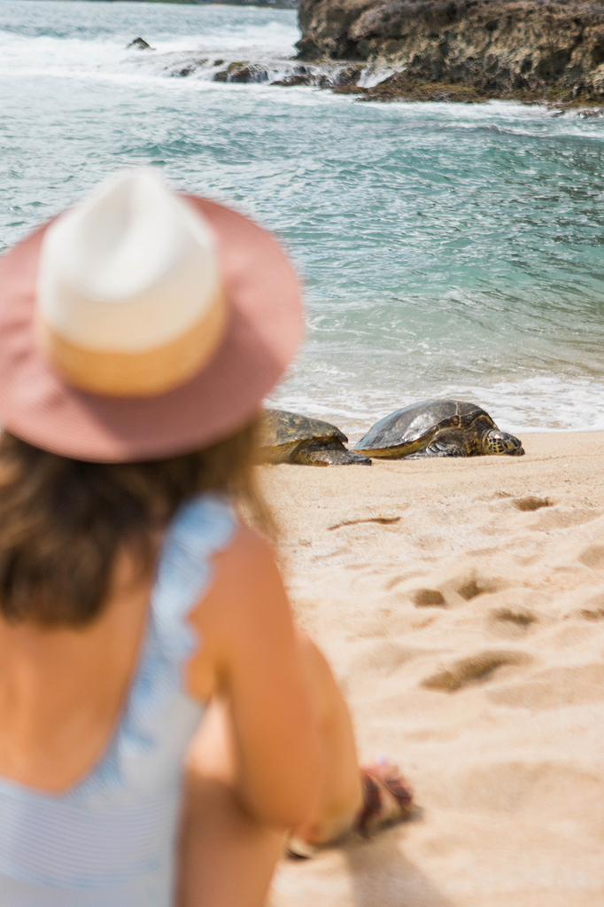 10 Unforgettable Adventures in Oahu, Hawaii! These things are so great and I'm totally putting them on my list! I especially love the secret turtle beach, the amazing hikes, and the best beaches tips!