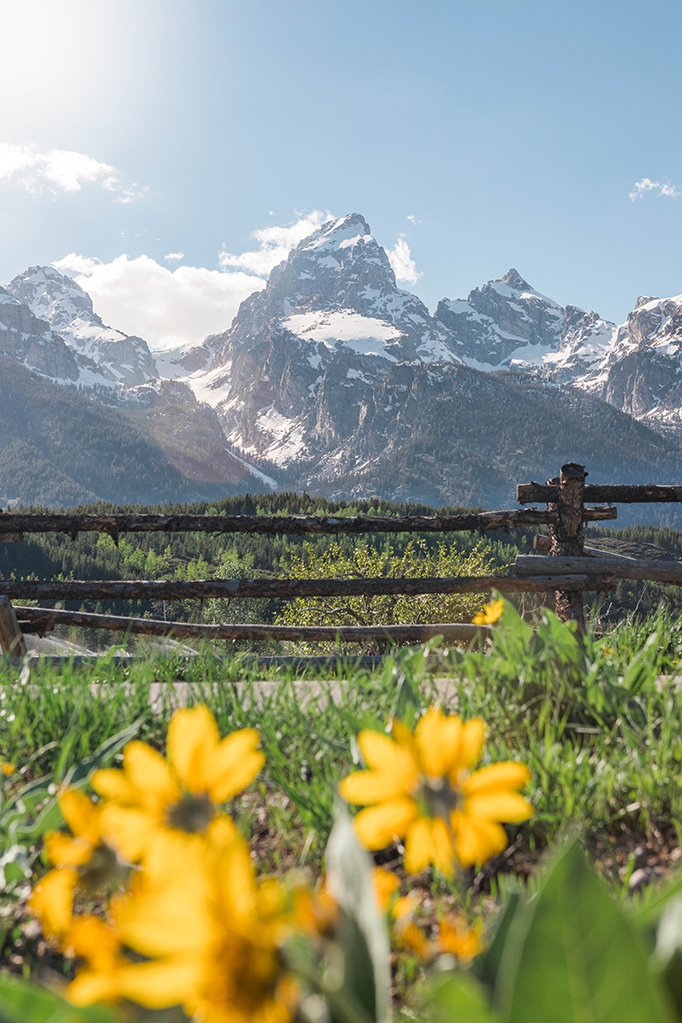 6 Amazing Things To Do At Grand Teton National Park