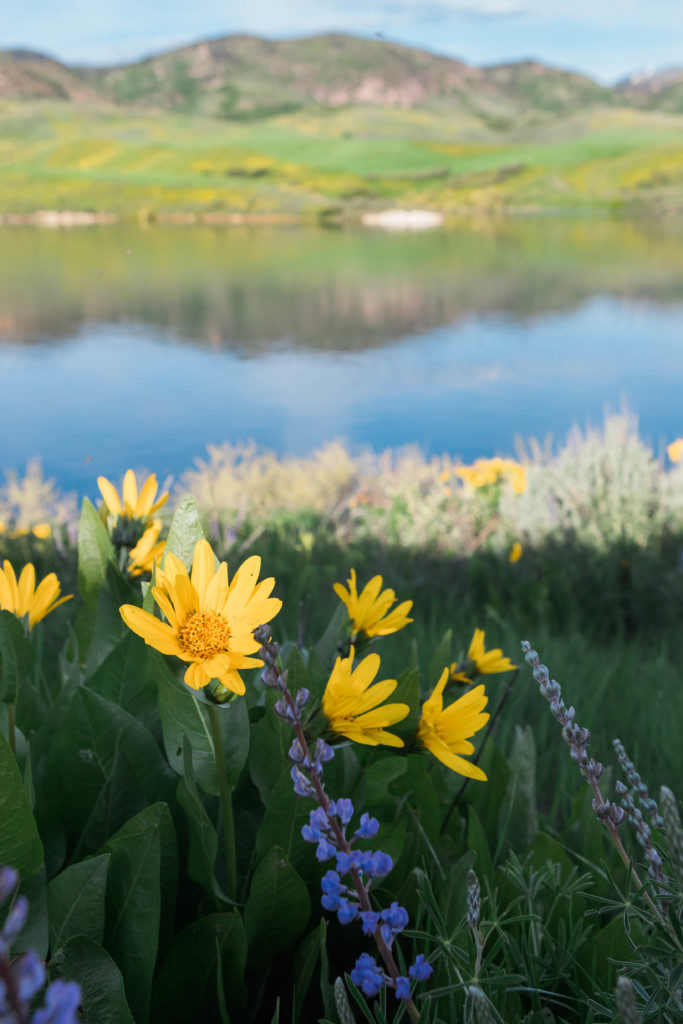 Here are the best day trips from Idaho Falls! All of these can be reached anywhere from 30 minutes to three hours! Includes ideas for summer and winter! 
