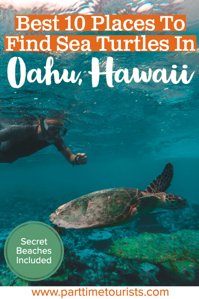 Best 10 Places To Find Sea Turtles In Oahu [Secret Beaches Included]