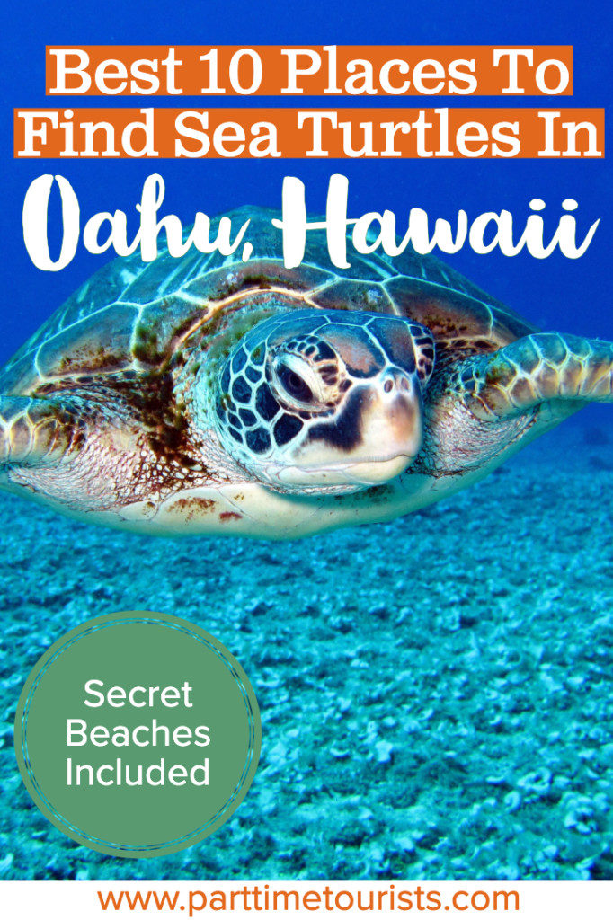 Find out where the top 10 places are to see and swim with sea turtles in Oahu Hawaii are! Well-known and secret beaches included.