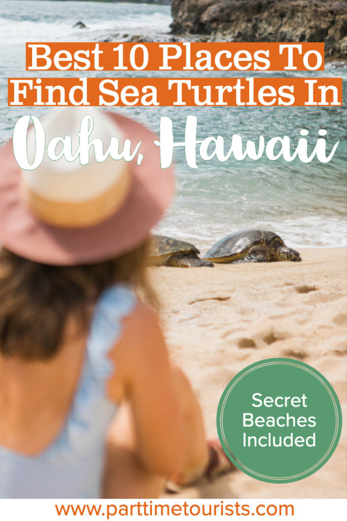 Find out where the top 10 places are to see and swim with sea turtles in Oahu Hawaii are! Well-known and secret beaches included.
