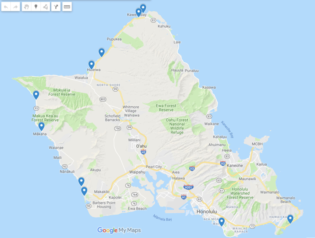 Best 10 Places To Find Sea Turtles In Oahu [Secret Beaches Included]