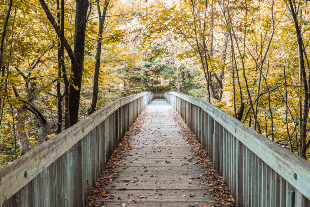 Doug's Trail in Nebraska City at the Lied Lodge. This is one of the best nature walks in Nebraska City. 