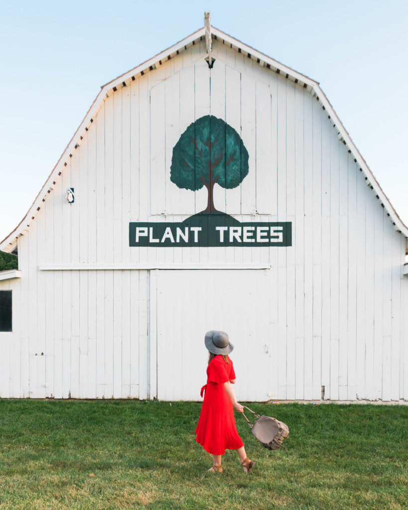 Barn that says Plant Trees. This is a great thing to do in Nebraska City!