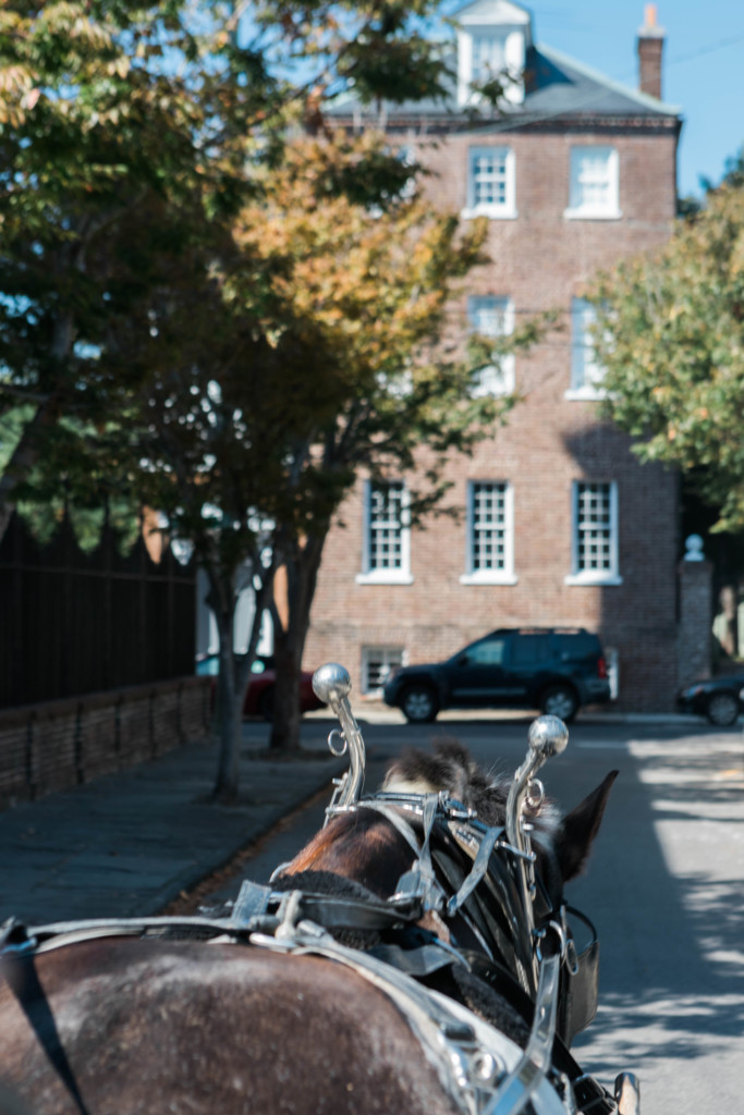 Charleston Tours Carriage ride