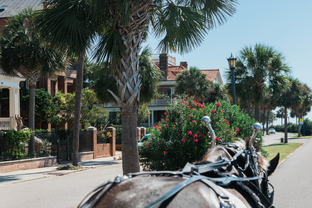 Charleston tours carriage ride