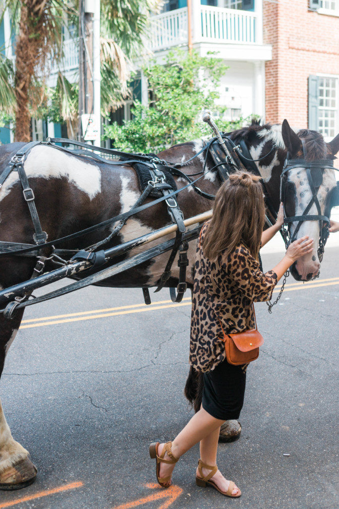 Charleston Tours Carriage ride