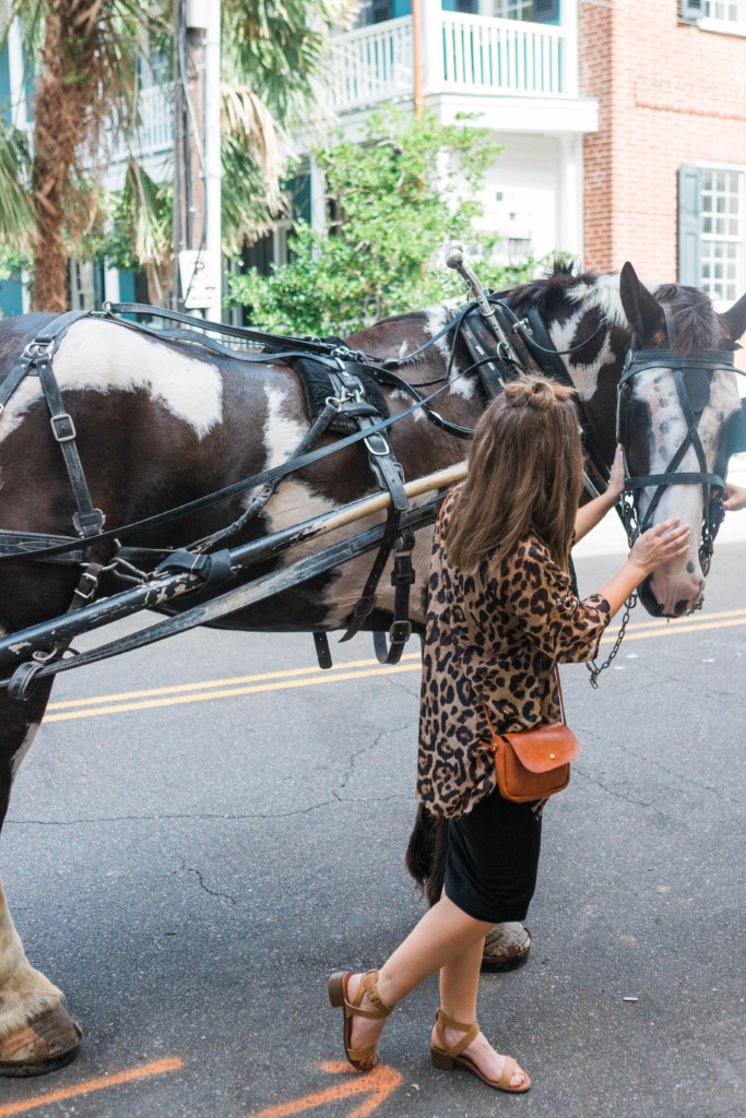 Paseo en carruaje de Charleston Tours