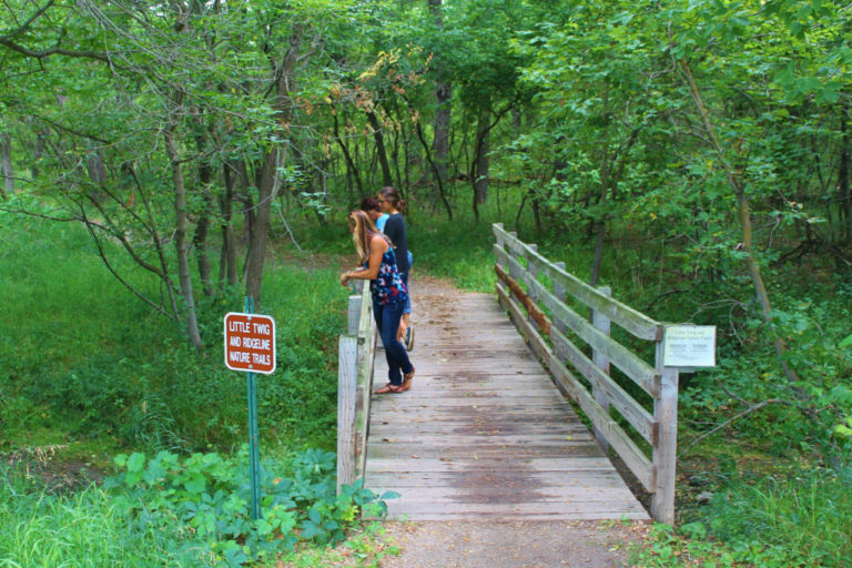 Best Scenic Drive in North Dakota That Will Make You Want To Leave