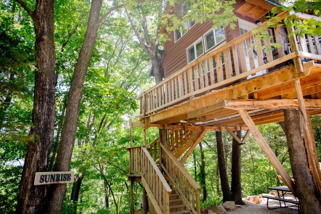 the cottage in hermann mo. a treehouse in Missouri