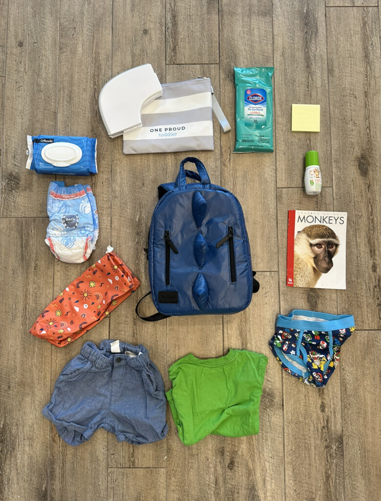 What to pack in a toddler potty training backpack