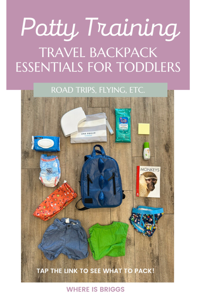 What to pack in a toddler potty training backpack